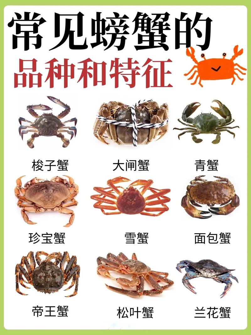 螃蟹品种大全图（螃蟹品种大全图名称）